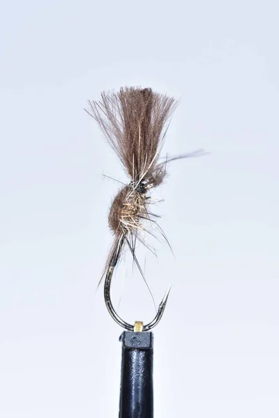 Cased Caddis Trout Fly — Stock Photo, Image