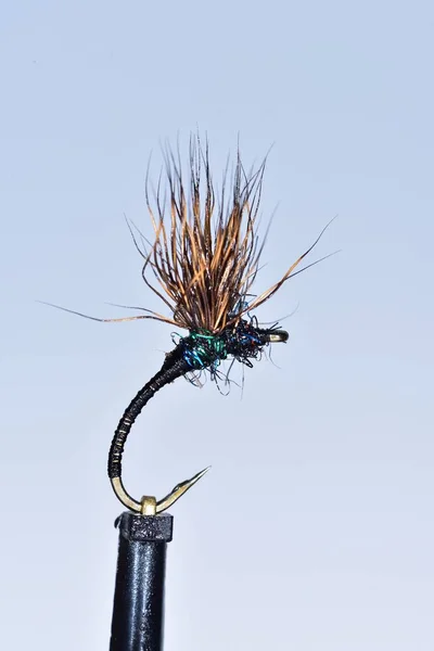 Black Emerger Trout Fly — Stock Photo, Image