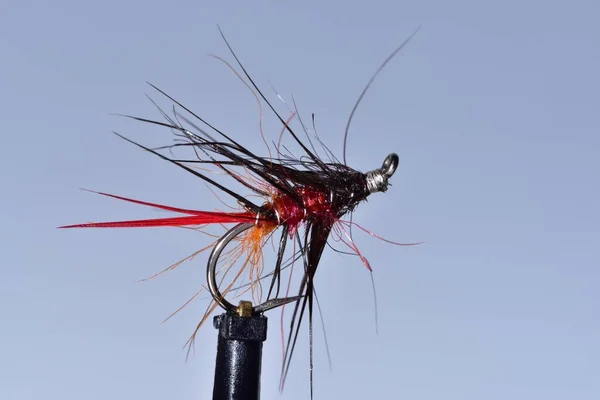 Red Black Biblo Trout Fly — Stock Photo, Image