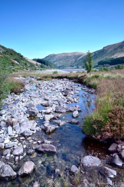 Haweswater 'ın küçük su gagası