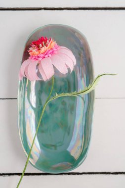 Kağıt çiçek ekinezi çiçeği