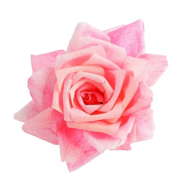 Flor de papel rosa em branco — Fotografia de Stock