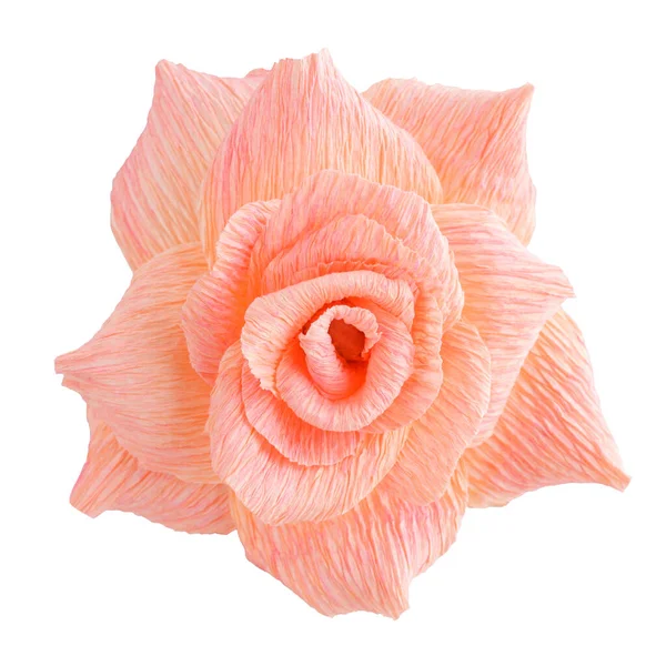 Flor de papel rosa em branco — Fotografia de Stock