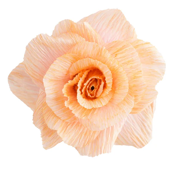 Flor Uma Flor Papel Rosa Pêssego Isolado Fundo Branco — Fotografia de Stock