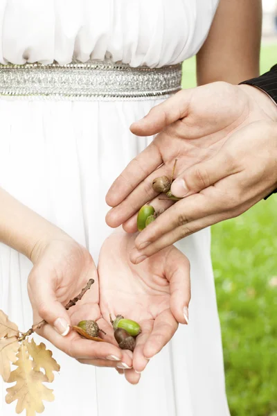 Groom gives the bride the acorns — Stock Photo, Image