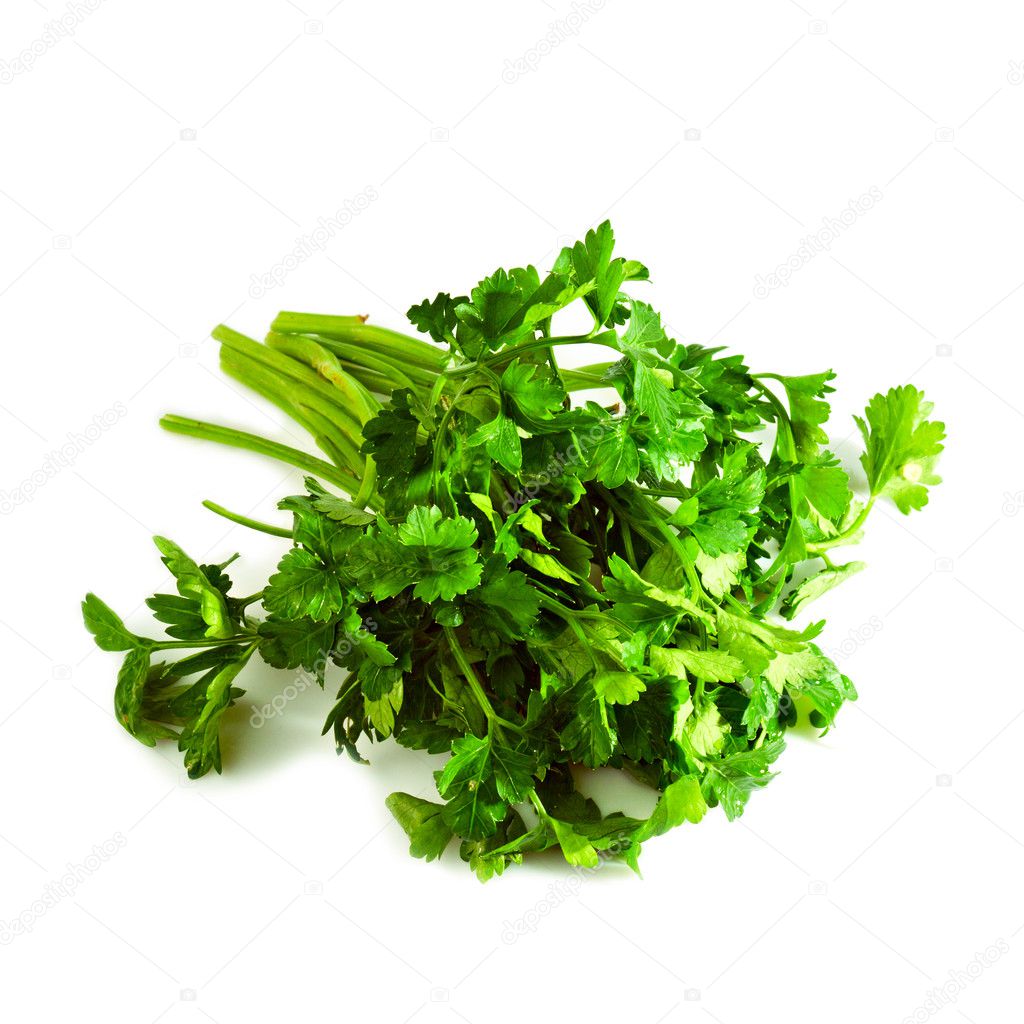 Fresh parsley her — Stock Photo © Aksakal 14095460