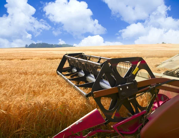 Combine harvester — Stock Photo, Image