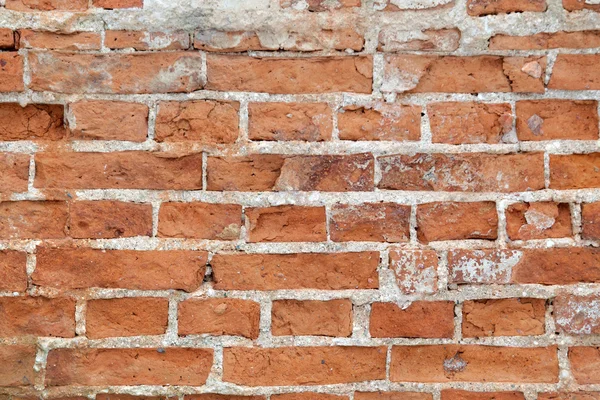 Seamless tileable Ziegel Wand Textur — Stockfoto © borzearadu #10148024