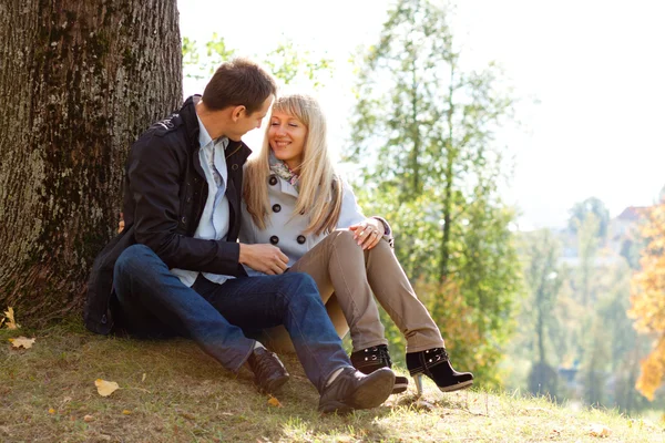Молода любляча пара сидить на землі на дереві — стокове фото