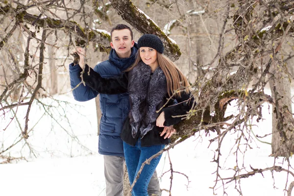 Happy Young Couple in Winter garden — Stock Photo, Image