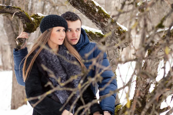 Felice giovane coppia nel giardino d'inverno — Foto Stock