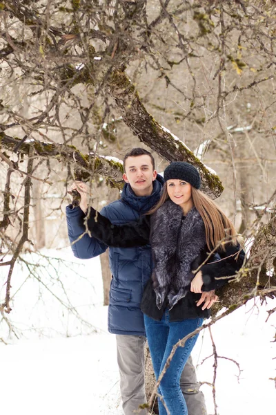 Szczęśliwa młoda para w ogrodzie zimowym — Zdjęcie stockowe