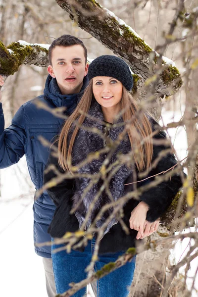 Šťastný mladý pár v zimní zahradě — Stock fotografie