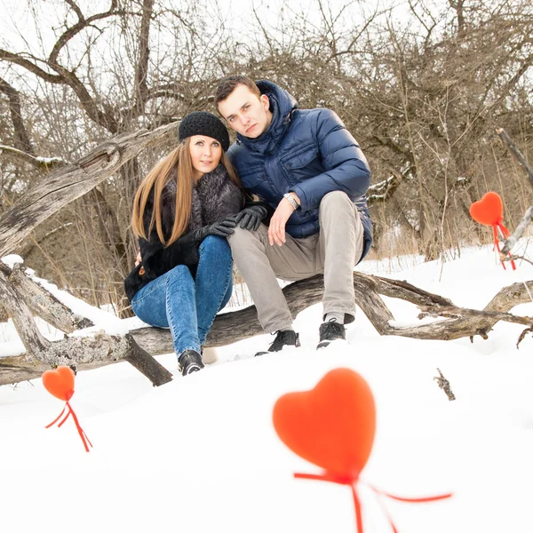 Beautiful adult couple in forest — Stock Photo, Image