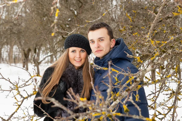 快乐对年轻夫妇在冬季花园 — 图库照片