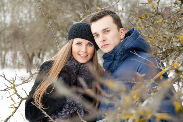 Щаслива молода пара в зимовому саду — стокове фото