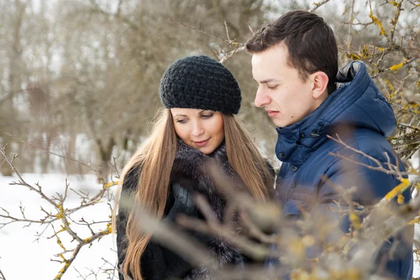 Gelukkige jonge paar in wintertuin — Stockfoto