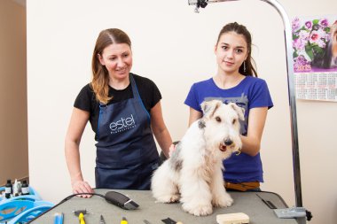 onun saç kesme getting tilki korkunç