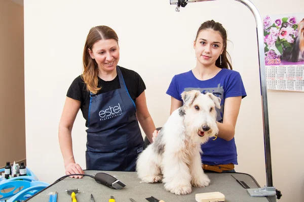 onun saç kesme getting tilki korkunç