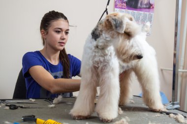 onun saç kesme getting tilki korkunç