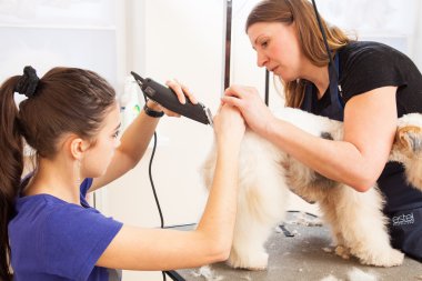 onun saç kesme getting tilki korkunç