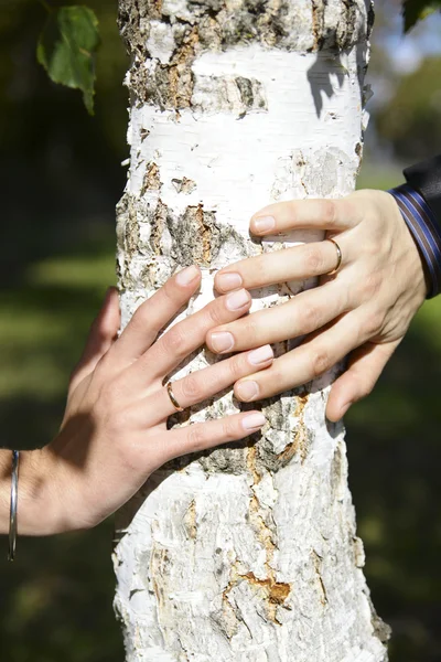 Brud och brudgum händer — Stockfoto