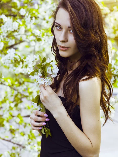 Hermosa chica morena con cereza en flor — Foto de Stock