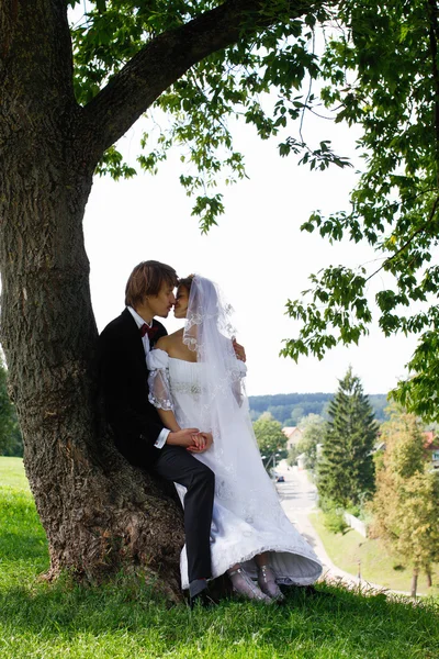 Das frisch verheiratete Paar sitzt — Stockfoto