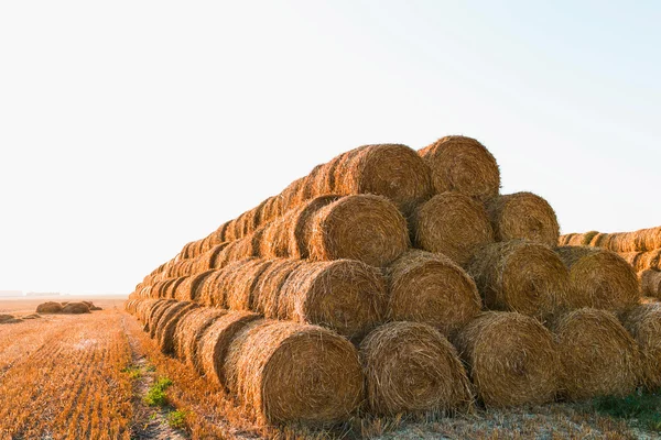 Big haystack at field — Stock Photo, Image