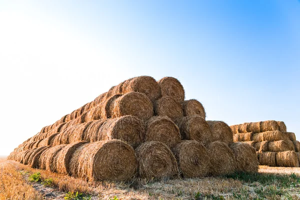 Big haystack at field — Stock Photo, Image