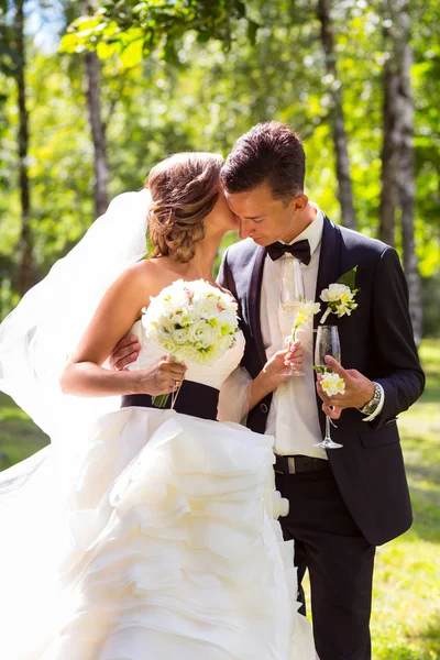 Young bride and groom kissing — Stock Photo, Image