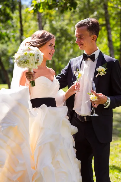 Jonge bruid en bruidegom — Stockfoto