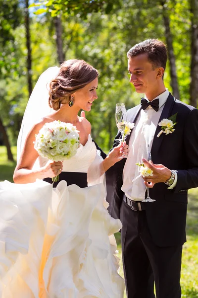 Unga bruden och brudgummen — Stockfoto