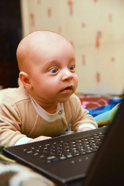 Μωρό ψάχνει στο φορητό υπολογιστή. — Φωτογραφία Αρχείου