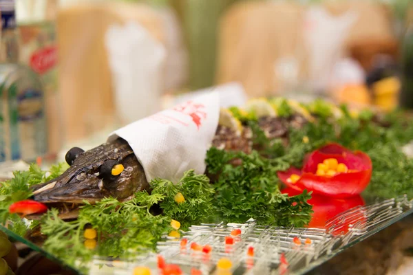 Lucio relleno grande — Foto de Stock