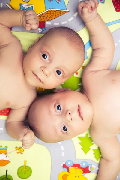 Gemelos lindos bebés —  Fotos de Stock
