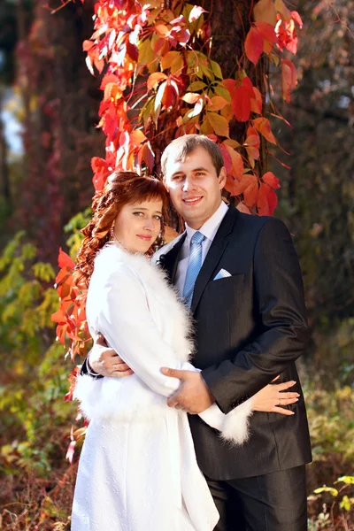 Happy bride and groom — Stock Photo, Image