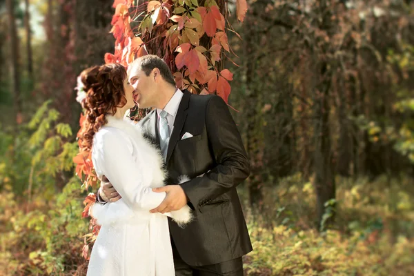 Happy bride and groom — Stock Photo, Image