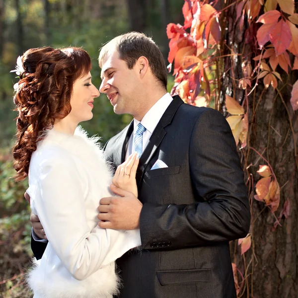 Happy bride and groom — Stock Photo, Image