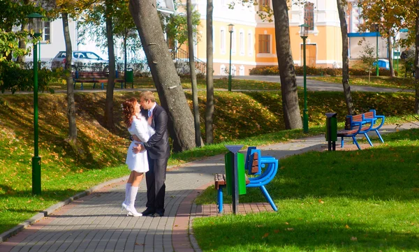 Novia y novio felices — Foto de Stock