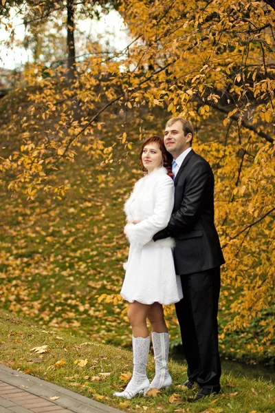 Happy bride and groom — Stock Photo, Image