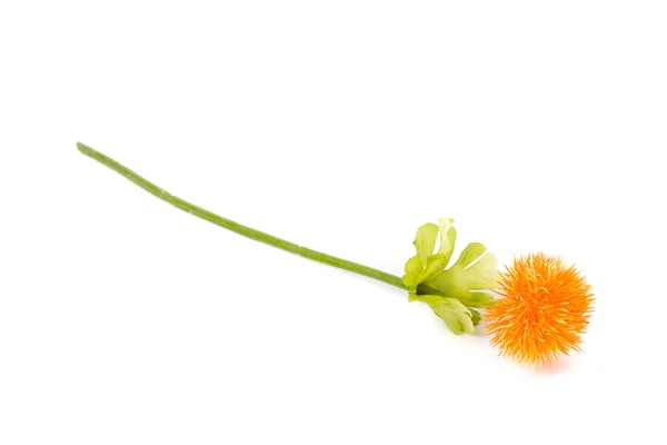 Piękny kwiat sztuczny — Zdjęcie stockowe