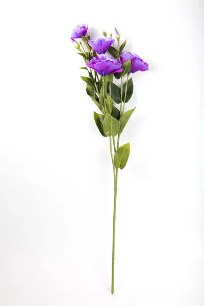 Hermosa flor artificial — Foto de Stock
