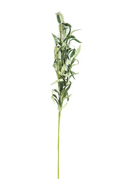 Schöne künstliche Blume — Stockfoto