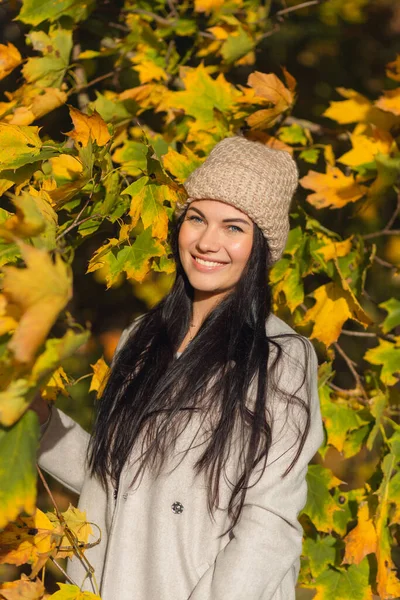 Retrato Uma Jovem Alegre Desfrutando Parque Outono Menina Morena Bonita — Fotografia de Stock