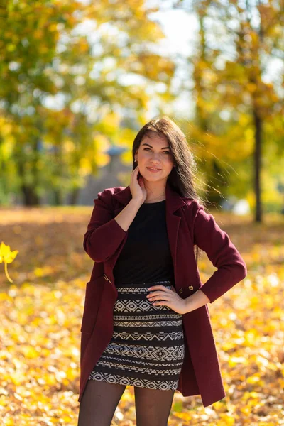 秋の公園で楽しむ楽しい若い女性の肖像画 秋の赤いコートと黒のセーターの美しいブルネットの女の子 自然の中でリラックス 高品質の写真 — ストック写真