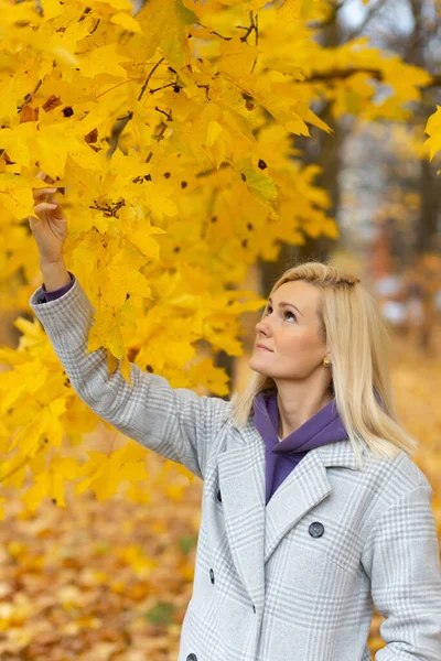 Portrét Radostné Mladé Ženy Která Užívá Podzimním Parku Krásná Blondýnka — Stock fotografie