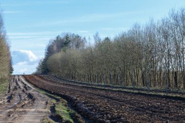 Sosyalist kampın eski üyeleri ile SSCB 'nin eski cumhuriyetleri arasındaki devlet sınırının manzarası