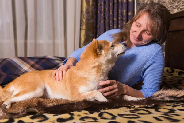 Djurälskarkonceptet Kvinna Som Har Kul Med Shiba Inu Hund Säng — Stockfoto