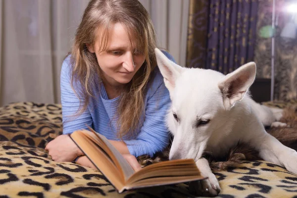 ベッドに横になり 仲間の白いスイスの羊飼いの犬と本を読んでいる女性 愛と団結とペットを屋内で — ストック写真
